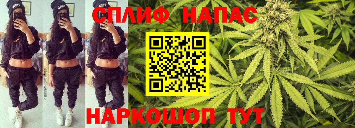 Партизанск  Каннабис семена  Вход с VPN  Каннабис White Widow  Каннабис Amnesia 
